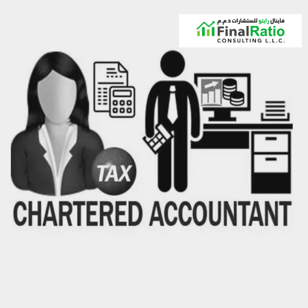 ACCOUNTING AND BOOKKEEPING-SERVICE-PROVIDER